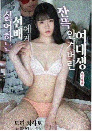 大明王朝1566 国产福利91精品推荐